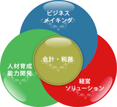 ビジネスメイキング 人材育成・能力開発 経営ソリューション 会計・税務